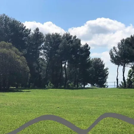 Poggio Active