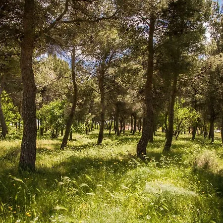 Poggio Active Ξενοδοχείο