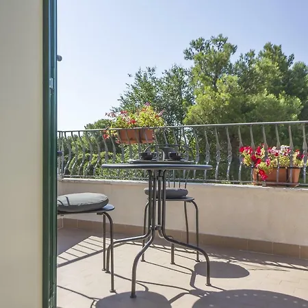 Poggio Active 3*