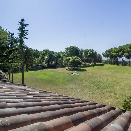 Poggio Active