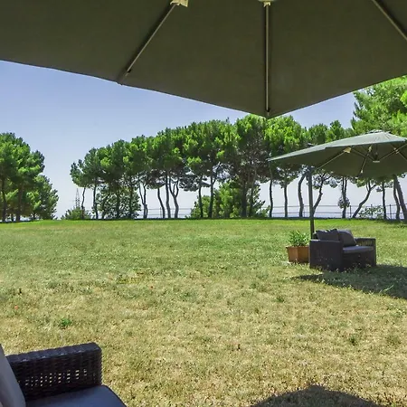 Poggio Active 3*