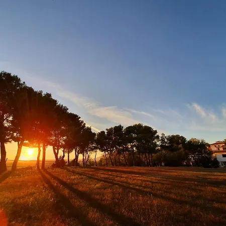 Poggio Active